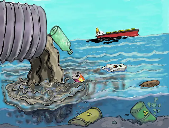16 Biggest Problems For Our Oceans, Coasts & Marine Life