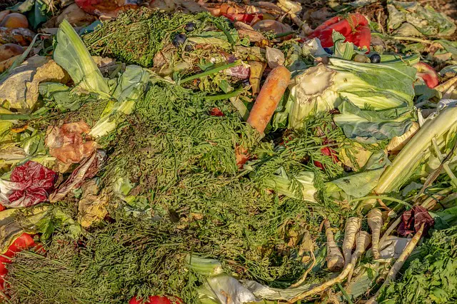Food Waste & Food Loss: Problems, Causes, Solutions, Stats, & More