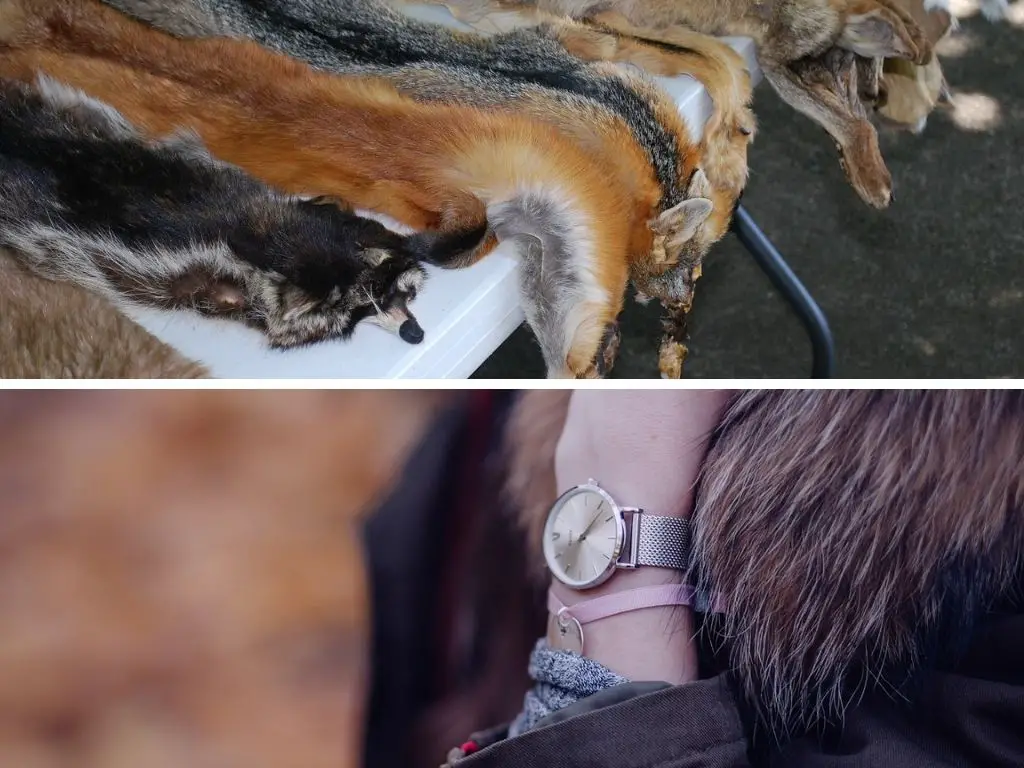 Real Fur vs Faux Fur Comparison: Differences, & Which Is Better?