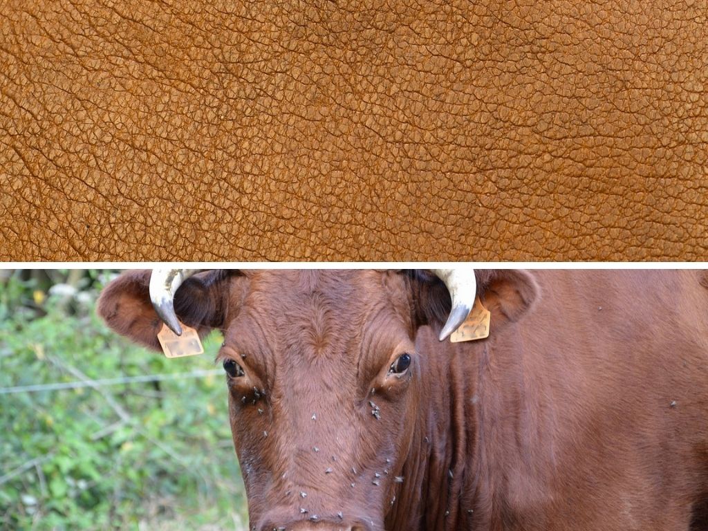 Is Real Leather Eco Friendly, Sustainable & Cruelty Free?