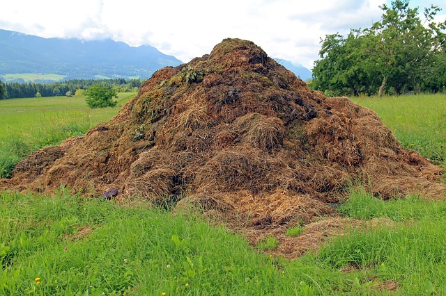 Is Composting Good Or Bad For The Environment?
