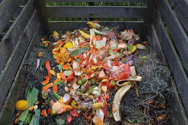 Pros & Cons Of Composting (Benefits & Disadvantages)