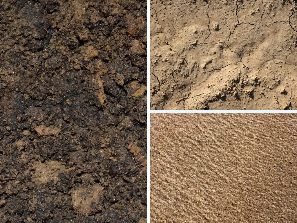 The Different Ways To Classify Soil Types: By Order, Texture/Characteristics/Particle Size, Colors, Regions & More