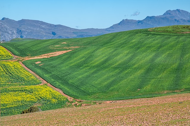 Sustainable Vs Organic Vs Conventional Farming Comparison 