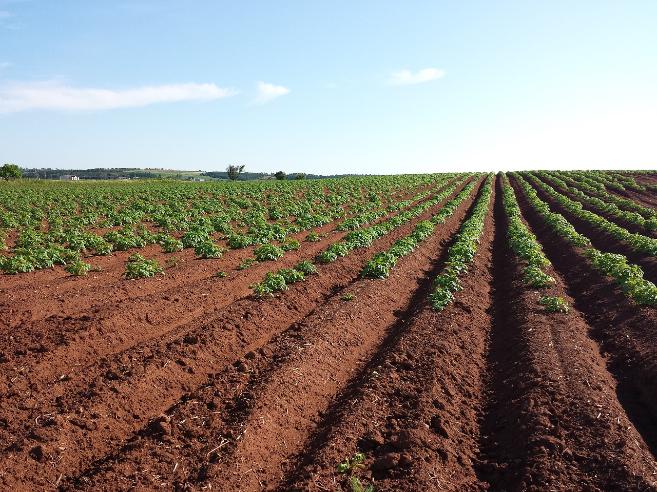 addressing-agricultural-land-degradation-soil-erosion-worldwide