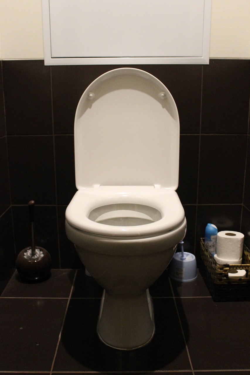 What You Can & Can't Flush Down The Toilet