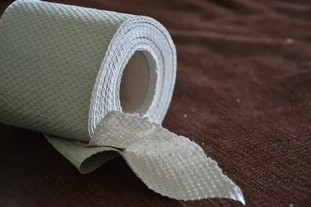About Recycled Toilet Paper: How It's Made, Features & More