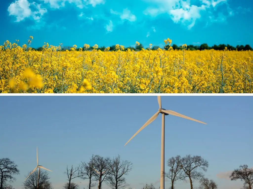 Renewable Energy vs Green Energy: The Difference Between Renewable Energy, & Clean/Green/Sustainable/Eco Friendly Energy