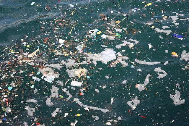 Plastic Pollution In The Ocean: FAQ Guide