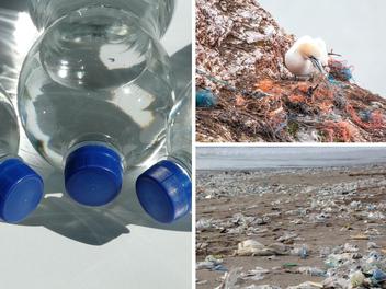 21 Potentially Harmful Effects Of Plastic (Across All Of Society) - Better  Meets Reality