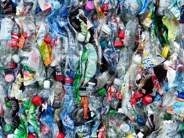 What Can Plastic Be Recycled Into? (& Reused For)