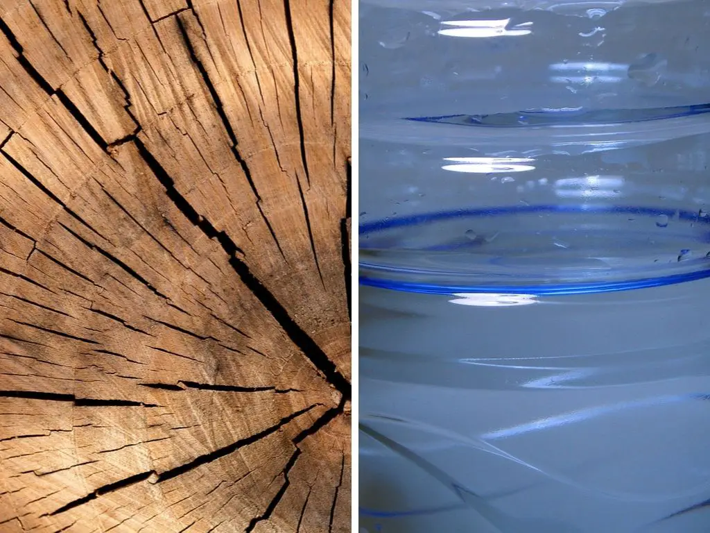 Is Wood More Sustainable Than Plastic? (Wood vs Plastic Comparison)