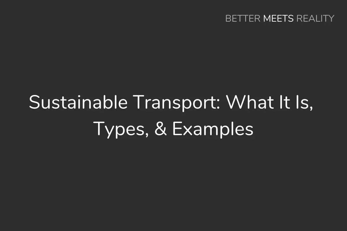 Sustainable Transport: What It Is, Types, & Examples