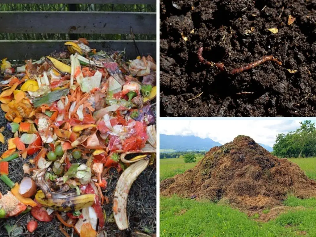 The Different Types & Methods Of Composting
