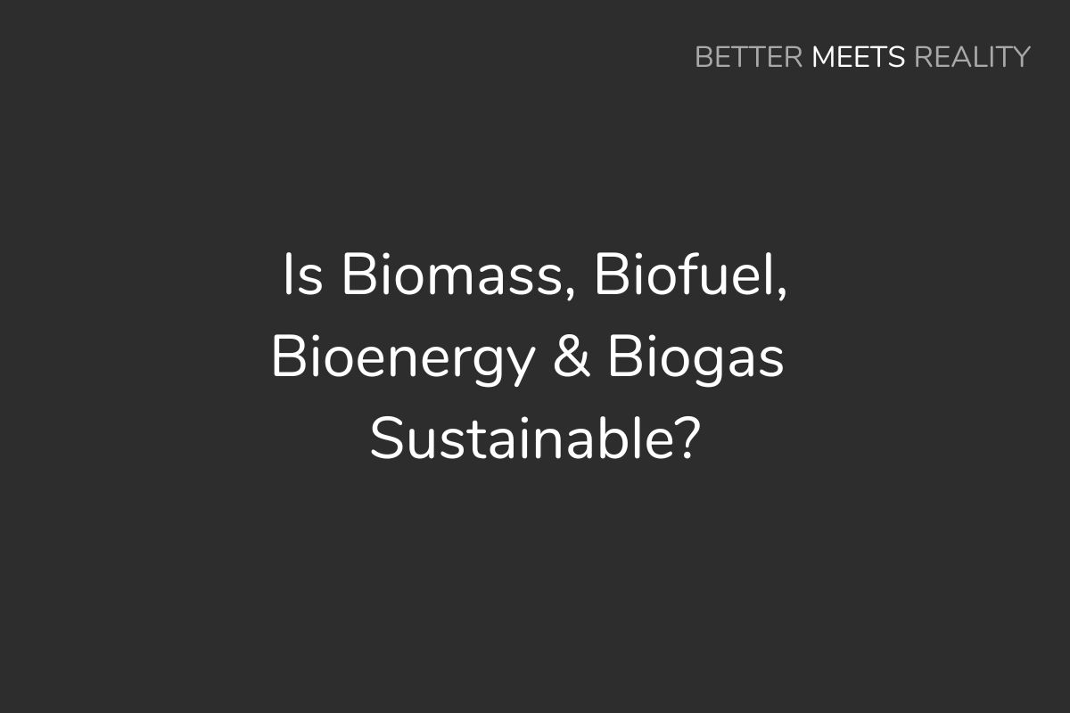 Is Biomass, Biofuel, Bioenergy & Biogas Sustainable?