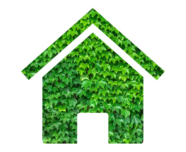 Sustainability Tips For The Home